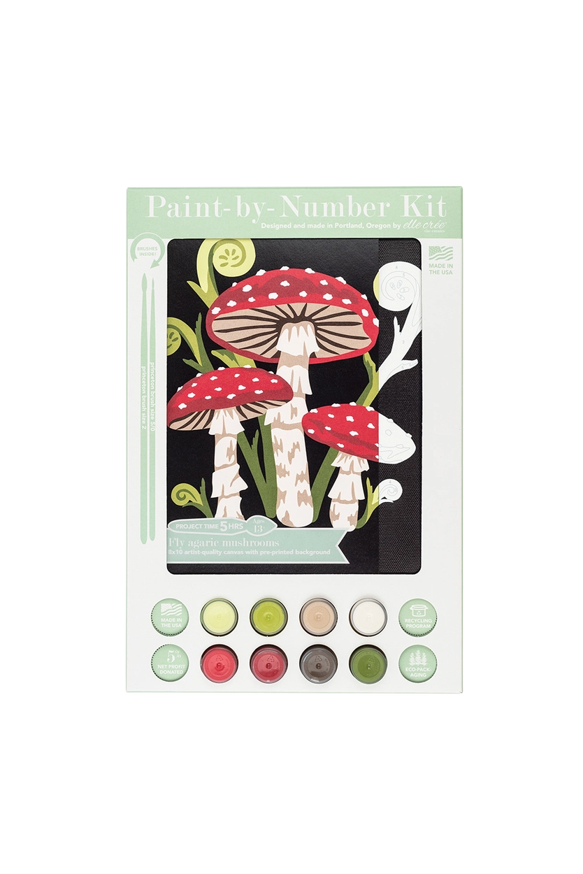 Fly Agaric Mushrooms Paint-by-Number Kit