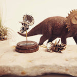 Triceratops Necklace with Display Stand