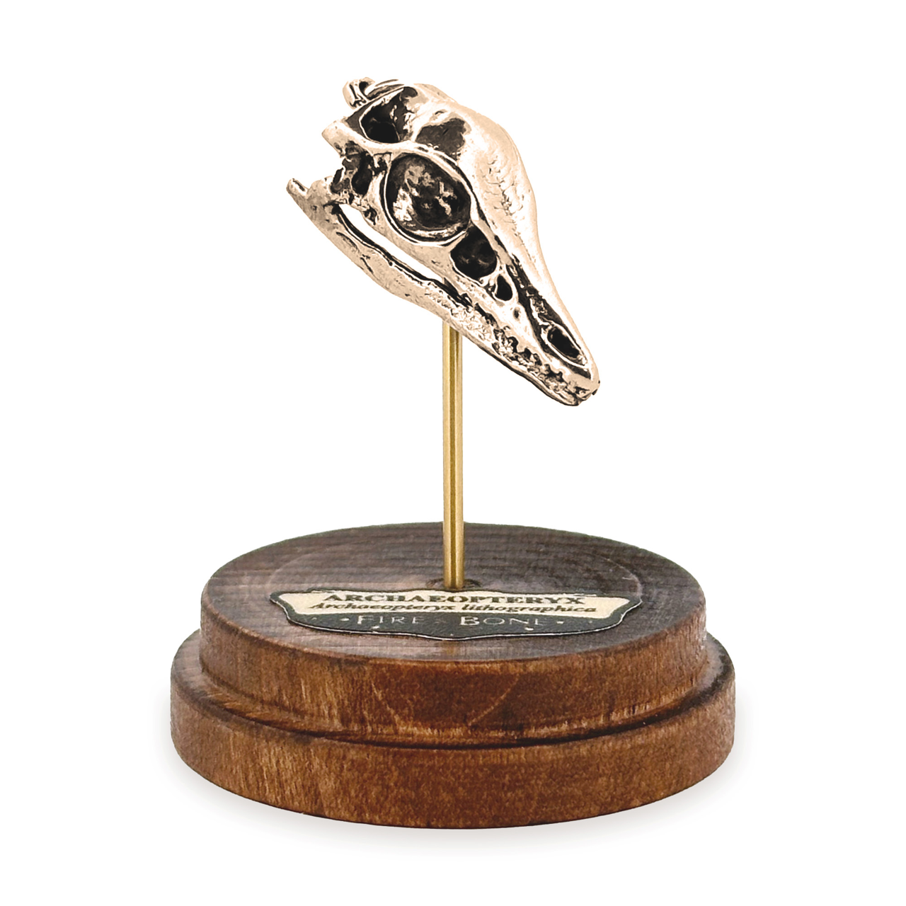 Archaeopteryx Necklace with Display Stand