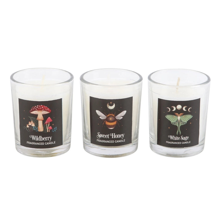 Dark Forest Votive Candle Trio Set