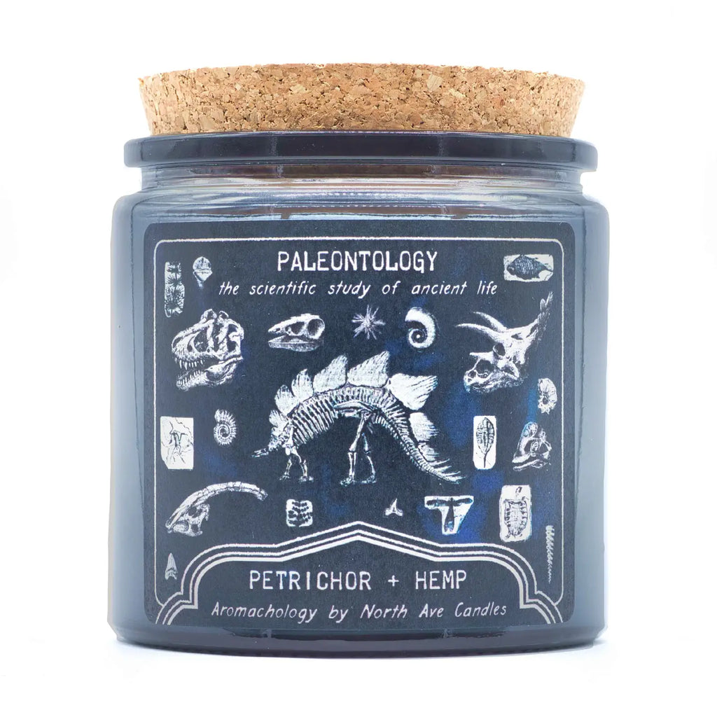 Paleontology Candle