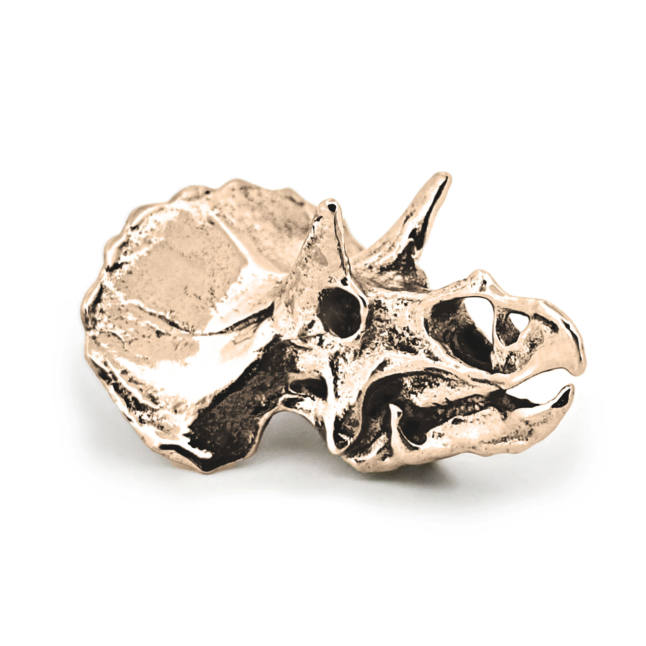 Triceratops Necklace with Display Stand