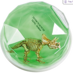 Dinosaur Fossil Putty