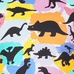 Dinosaurs & Colors Kids Leggings