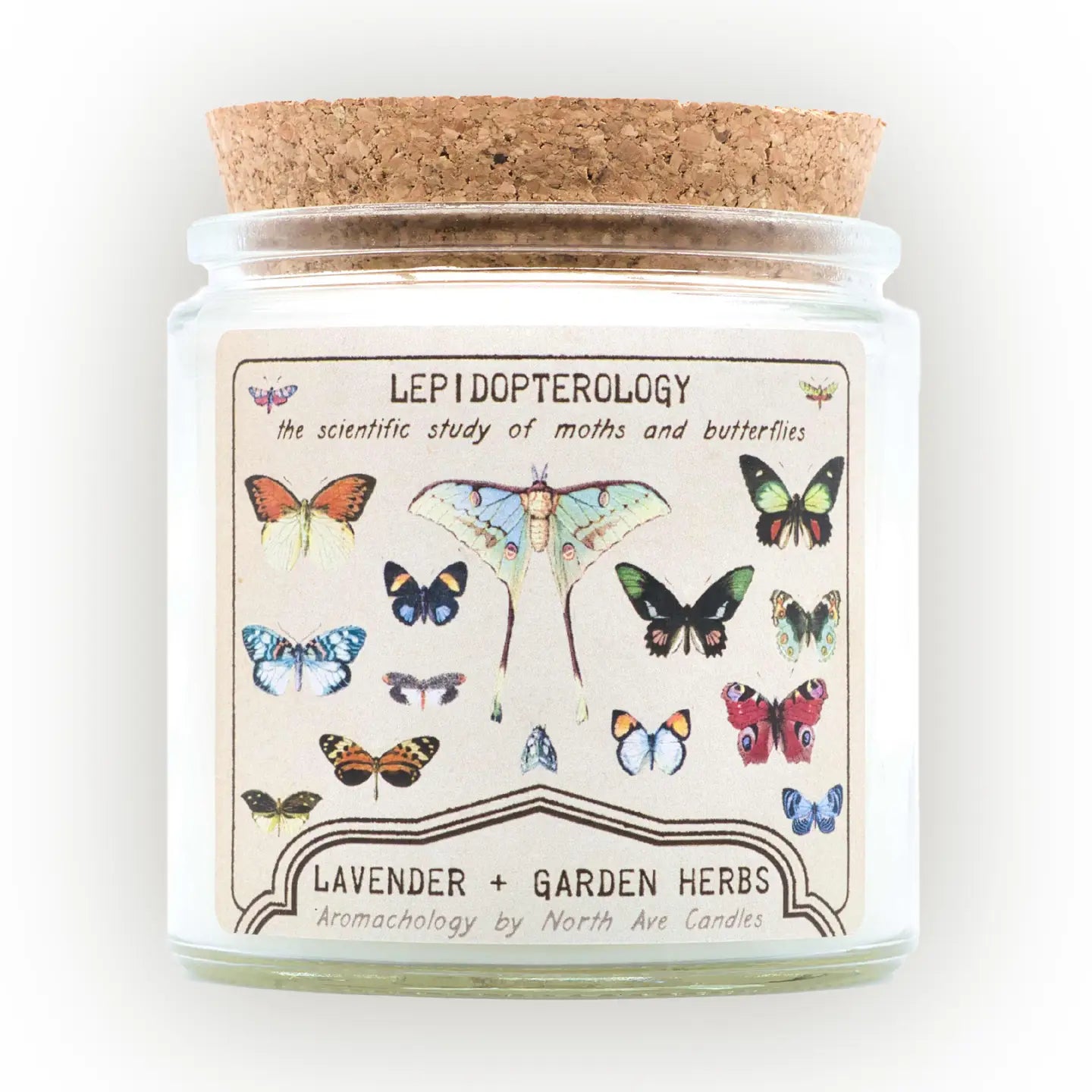 Lepidopterology Candle