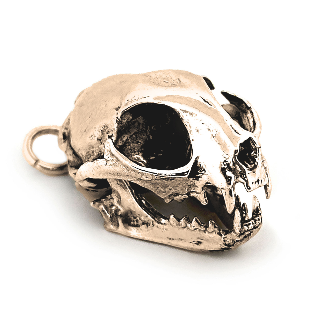 Domestic Cat Necklace
