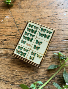 Butterfly Tray Enamel Pin