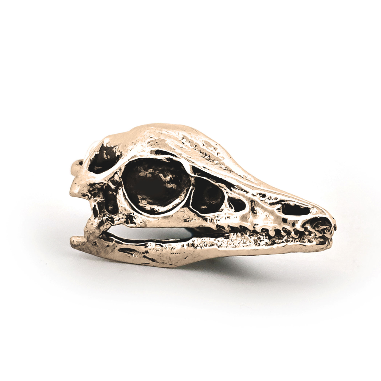 Archaeopteryx Necklace with Display Stand