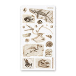 Fascinating Fossils Sticker Sheet