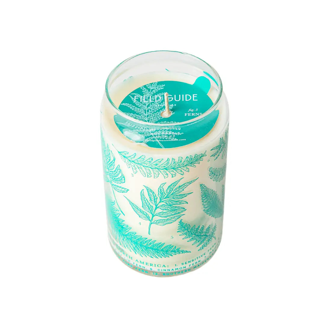 Ferns Field Guide Soy Candle