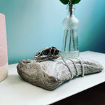 Allosaurus Necklace with Display Stand