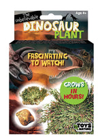 Dinosaur Plant Kit