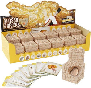 Dig a Dozen Fossil Bricks