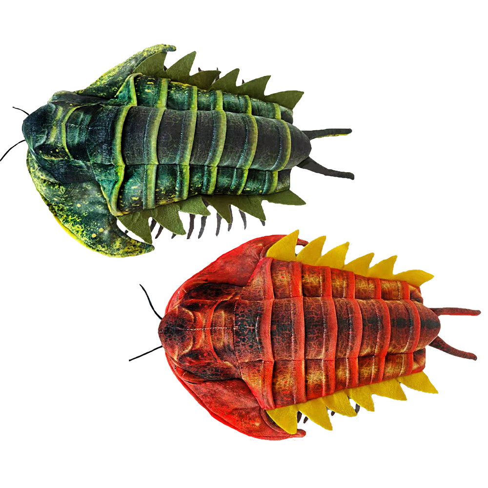 Trilobite Plush