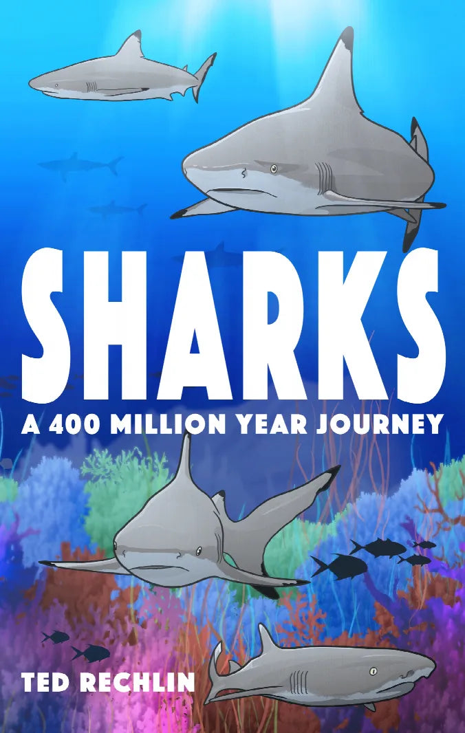 Sharks Graphic Novel