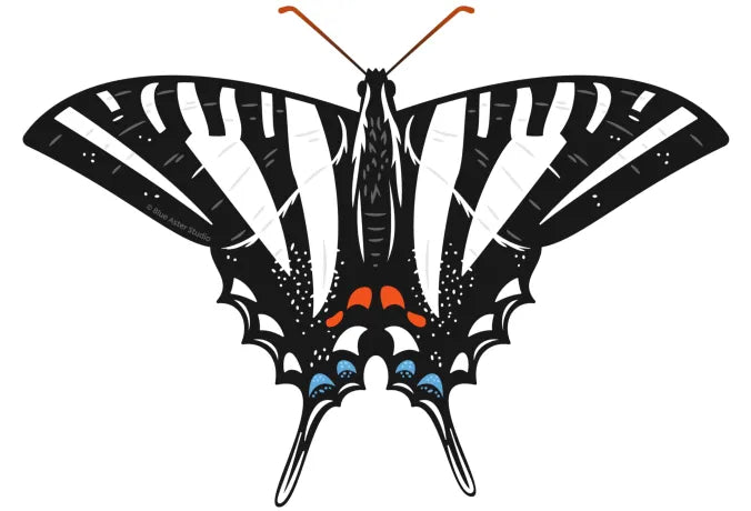 Zebra Swallowtail Sticker