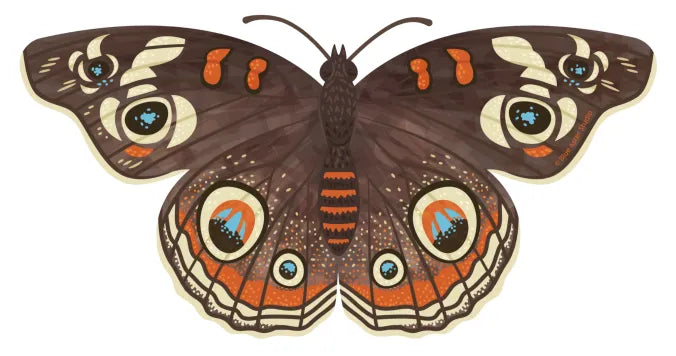 Buckeye Butterfly Sticker