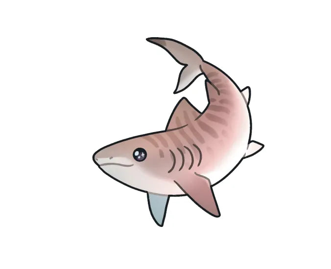 Tiger Shark Sticker