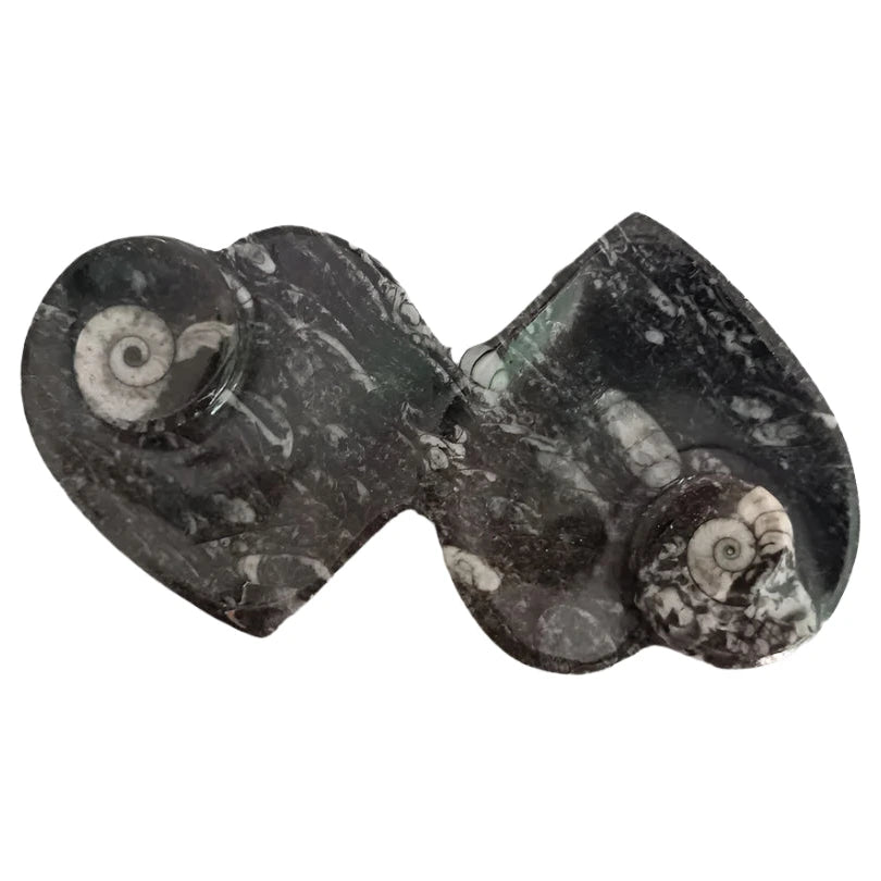 Orthoceras Double Heart Dish