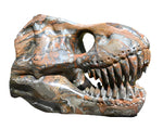 Gemstone T-Rex Skull $200.00