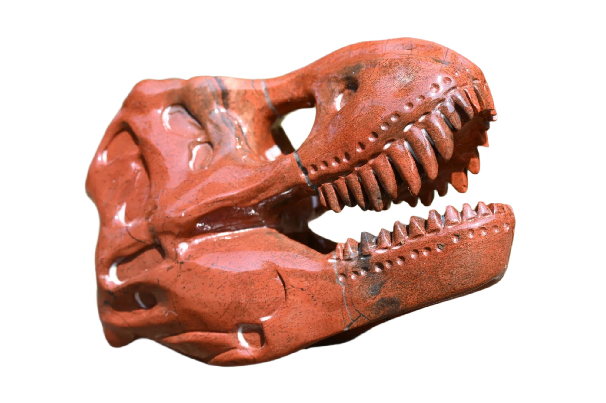 Gemstone T-Rex Skull $200.00