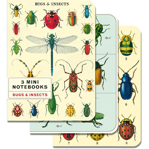 Bugs & Insects 3 Mini Notebook Set