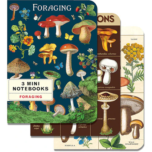 Foraging 3 Mini Notebook Set