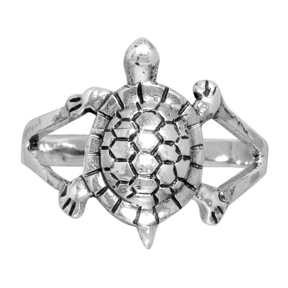 Turtle Ring – The Science Museum of Minnesota