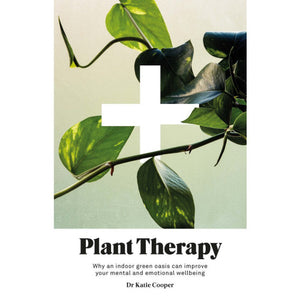 Plant Therapy: How an Indoor Green Oasis Can Improve Your Mental and Emotional Wellbeing