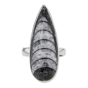 Orthoceras Ring