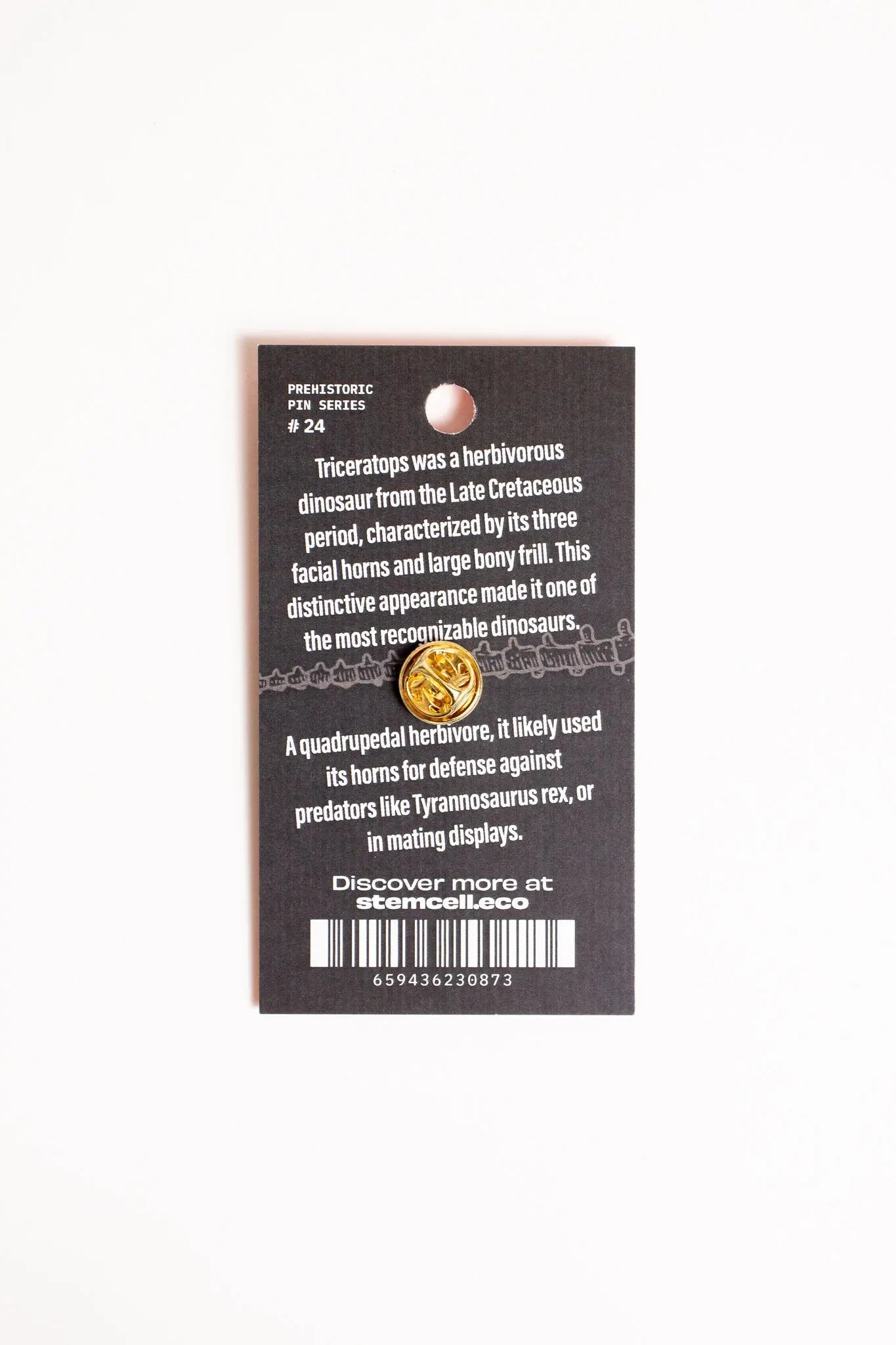 Triceratops Enamel Pin