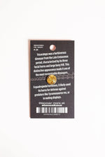 Triceratops Enamel Pin