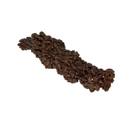 Giant Coprolite