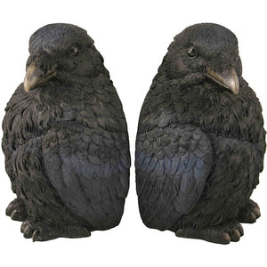 Corvus Bookend Set