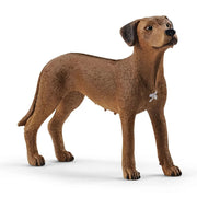 Rhodesian Ridgeback Figurine