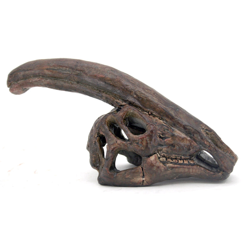 Parasaurolophus Mini Skull Replica