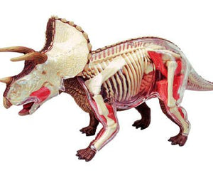 Triceratops 4D Vision Anatomy Model