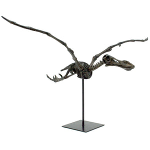 Flying Pterosaur Dinosaur Fossil Replica