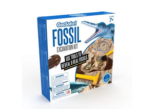 Fossil Excavation Kit