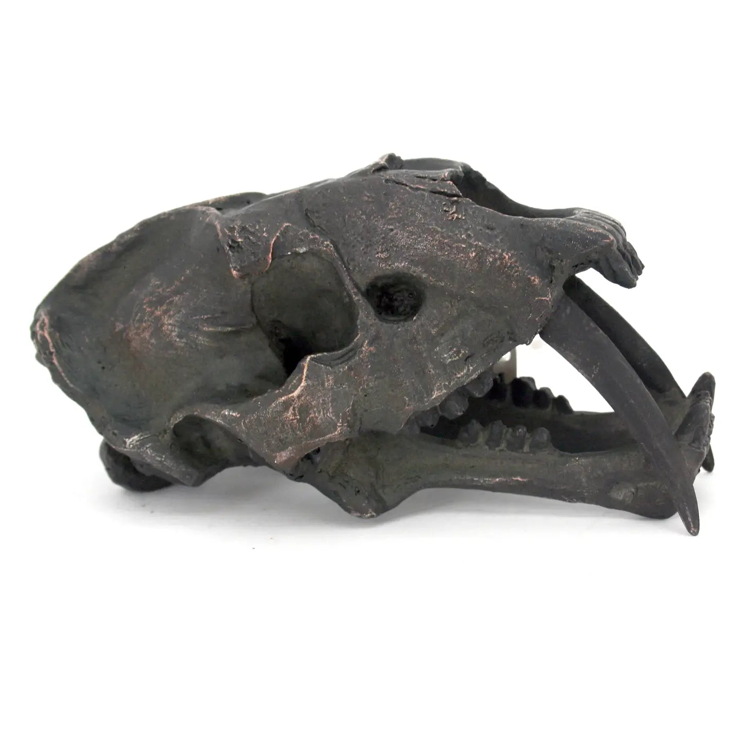 Sabertooth Mini Skull Replica