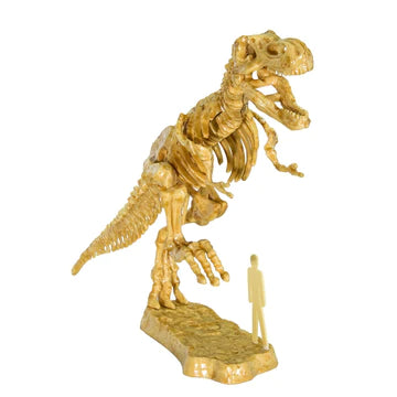 I Dig It Dinos 3D T-rex Excavation Kit – The Science Museum of Minnesota