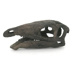 Stegosaurus Mini Skull Replica