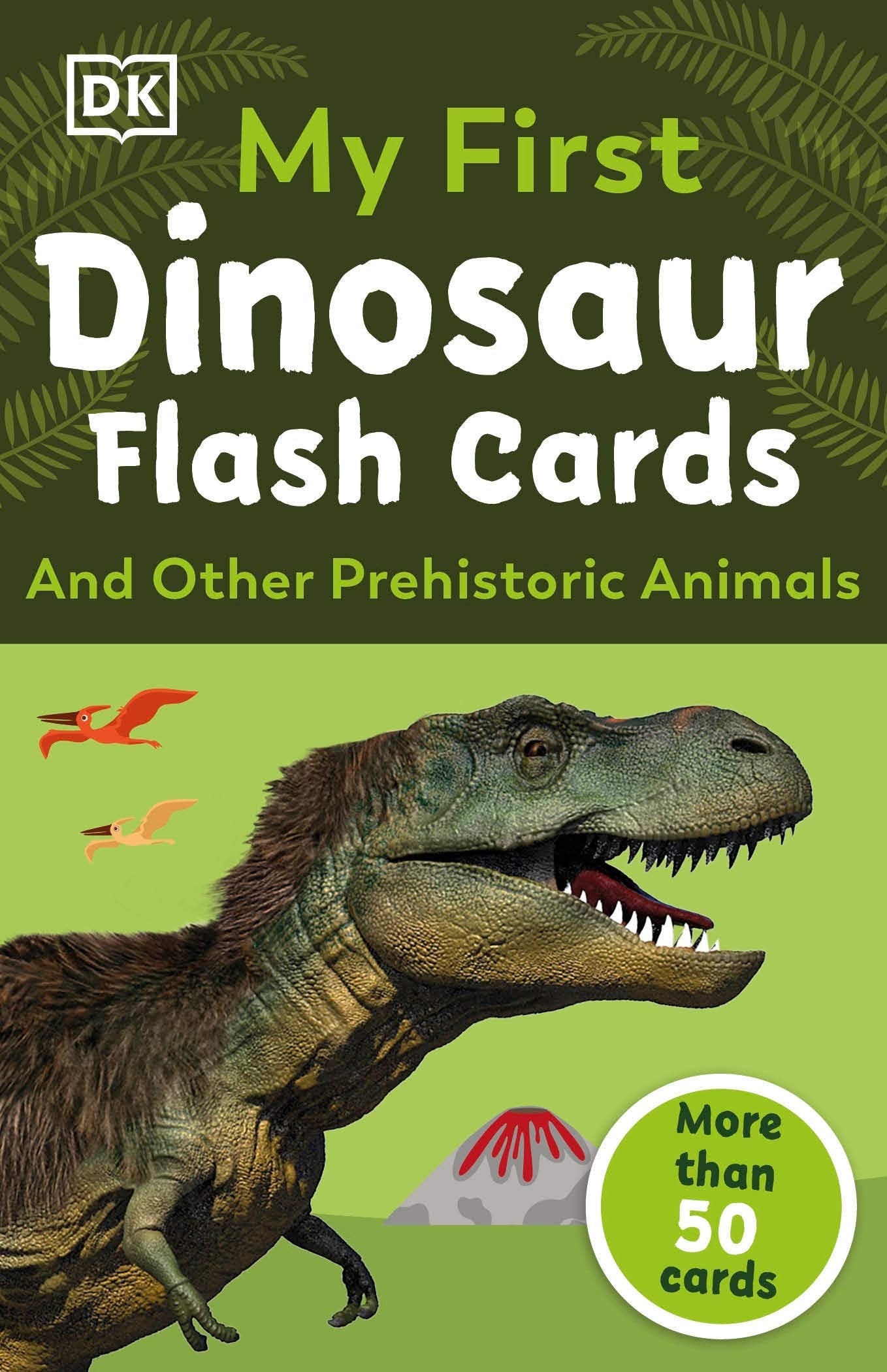 My First Dinosaur Flash Cards