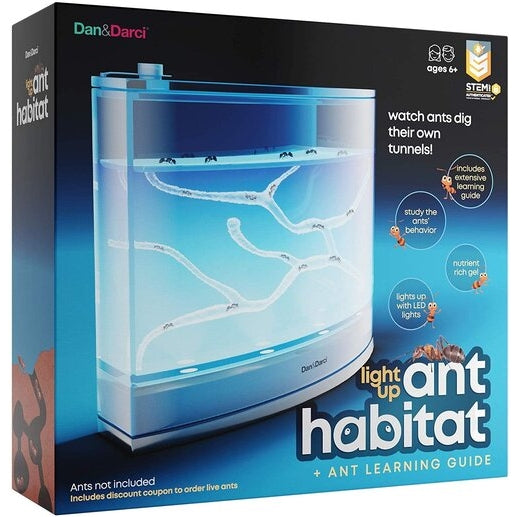 Light Up Ant Habitat