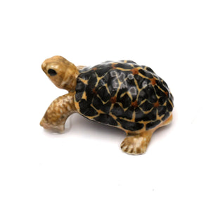 Tortoise Porcelain Miniature