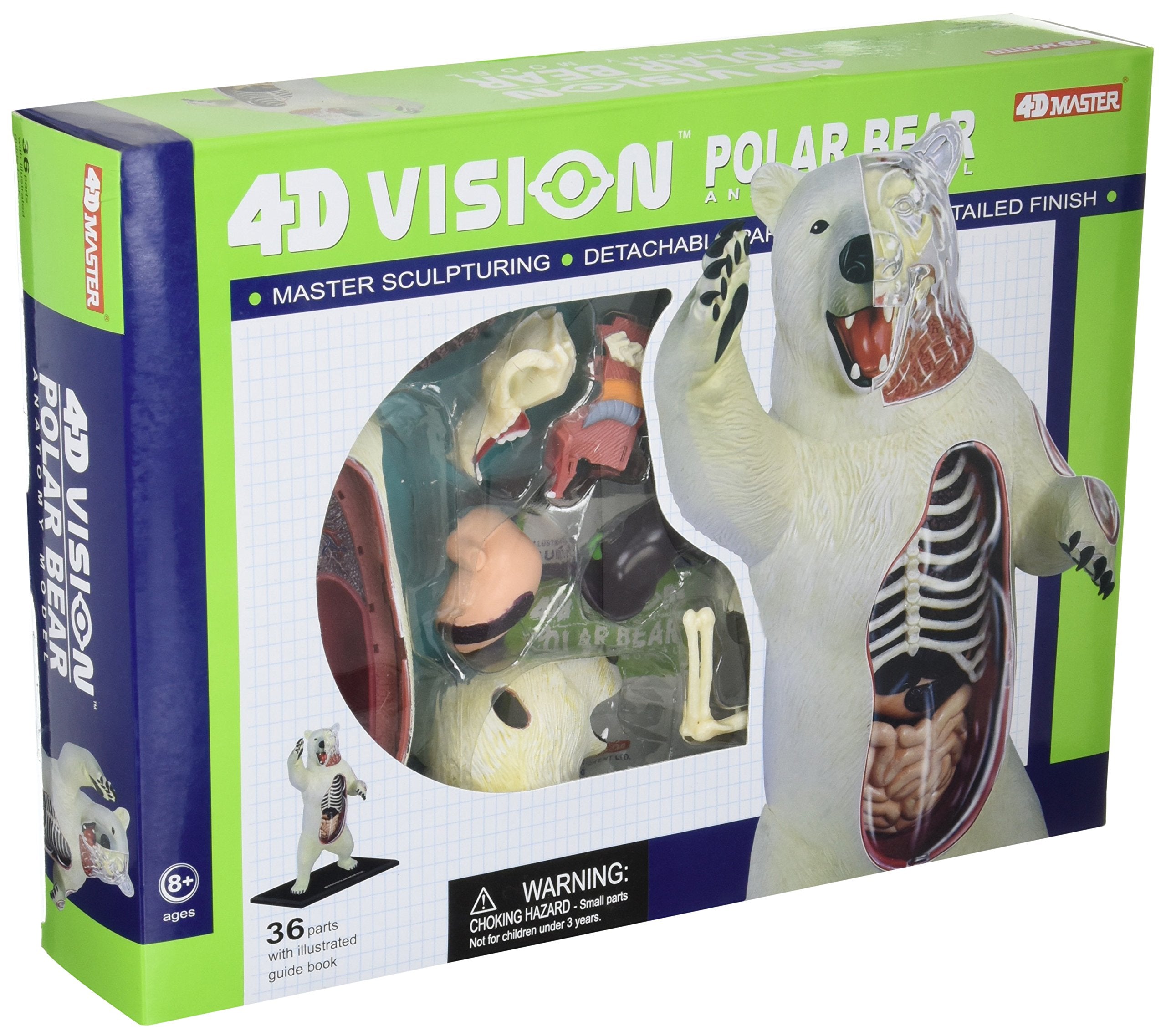 Polar Bear 4D Vision Anatomy Model