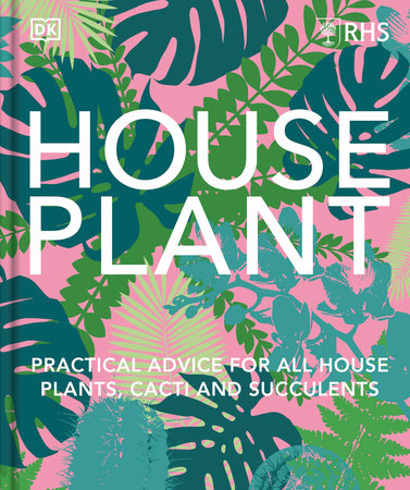 House Plant: Practical Advice for All House Plants, Cacti and Succulents