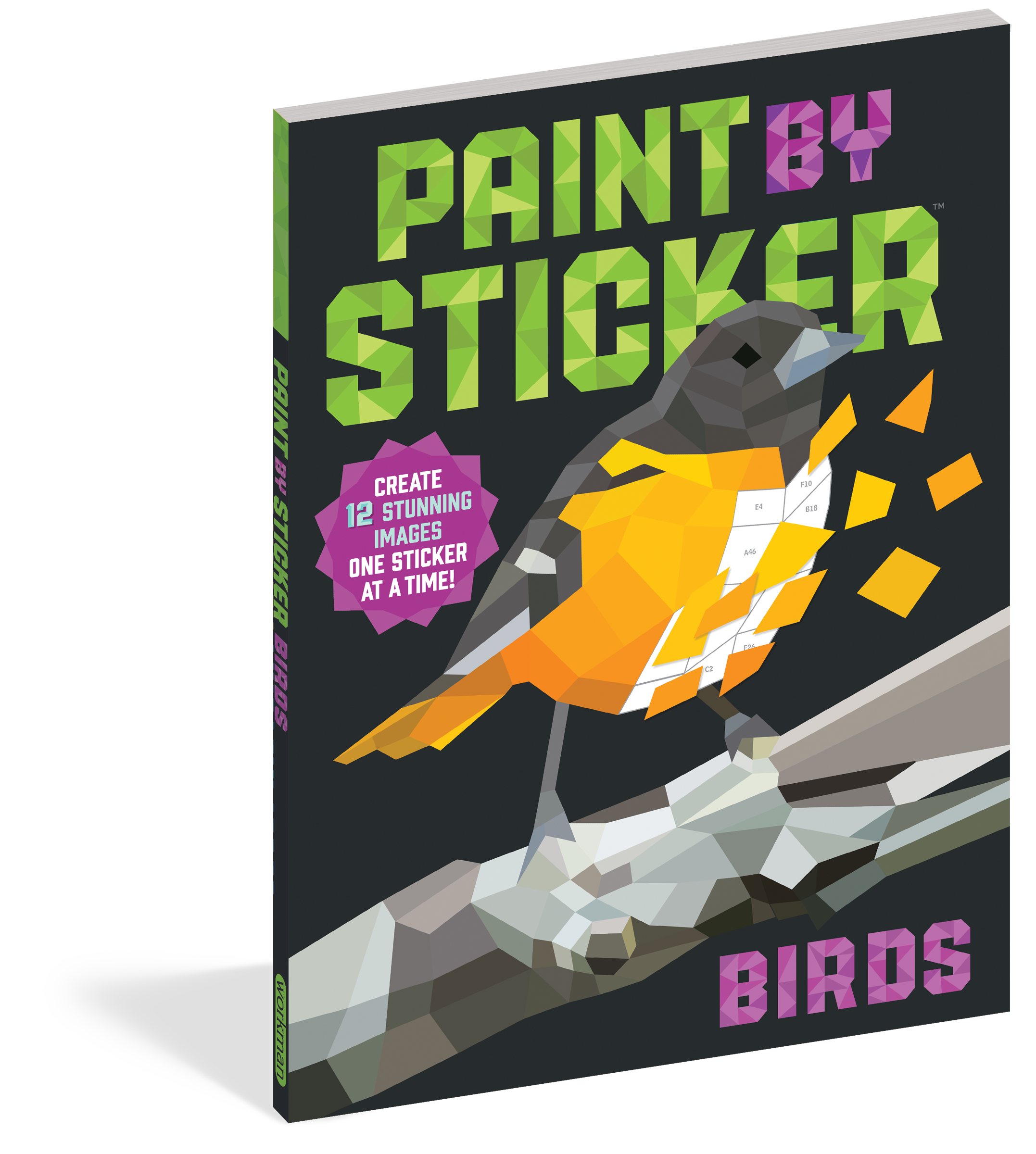 Paint by Sticker: Birds