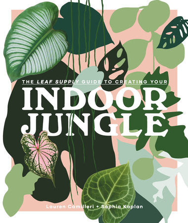 Leaf Supply: Guide to Creating Your Indoor Jungle