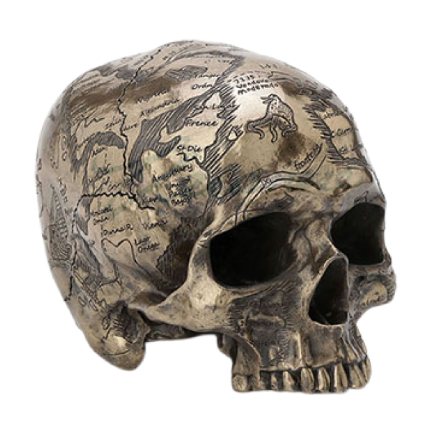 Steampunk Craniumography Skull Map